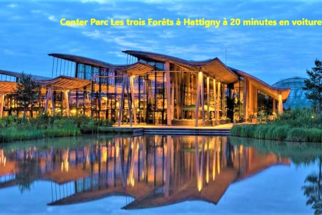De 2 A 6 Personnes - Le Street'Art - Sarrebourg Centre - Gare A 500M - A 20 Minutes De Center Parc Et Parc Animalier Sainte-Croix - Netflix - Wifi Apartment Luaran gambar